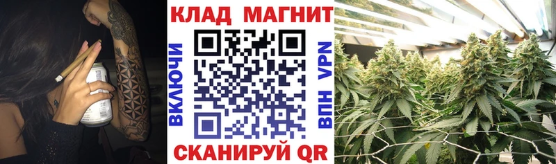 Виды наркотиков купить Лобня Марихуана  Cocaine  Псилоцибиновые грибы  Гашиш  Alpha PVP  АМФЕТАМИН 