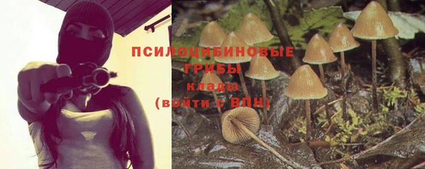 марки lsd Алексин