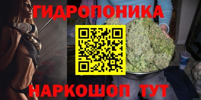 бошки Анапа