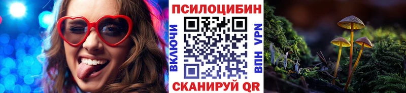 где купить наркотик  Лобня  Псилоцибиновые грибы Magic Shrooms 
