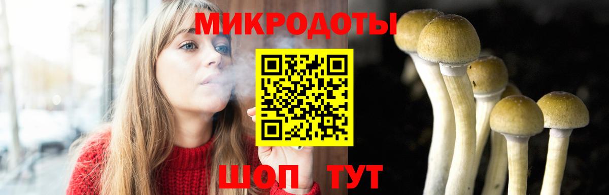 Лобня  Псилоцибиновые грибы мицелий  Псилоцибиновые грибы Psilocybine cubensis  Вход с VPN 